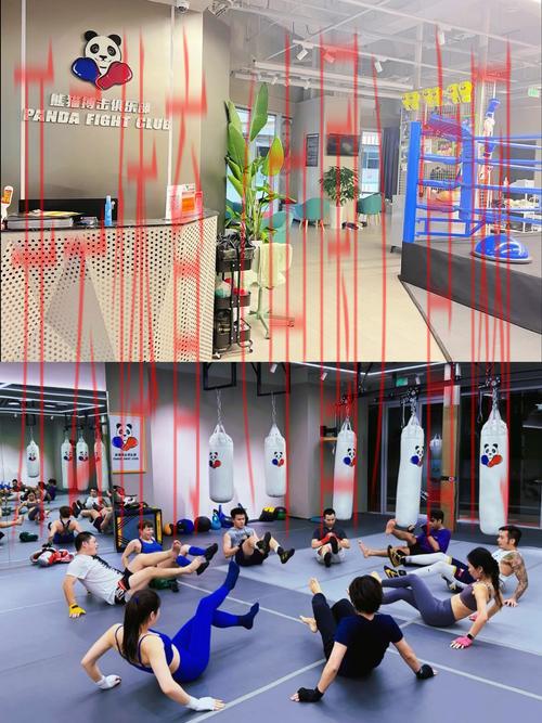 皇冠体育群, 揭秘皇冠体育群的独特魅力与用户体验